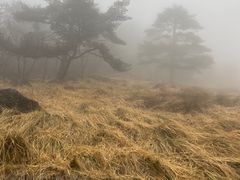 -黄山光明顶山庄