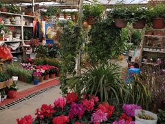 -秦美花卉(天朗·莱茵小城2期店)