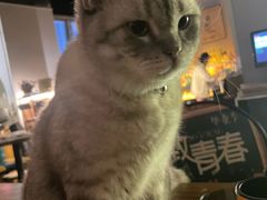 -故遥酒馆.赛事直播