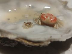 -春天烤肉自助餐厅(南内环店)