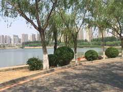 -丁香湖公园