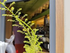 -SeekSeeking咖啡专门店(堰塘街店)