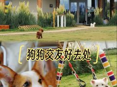 -omitofee咖啡(水泽店)