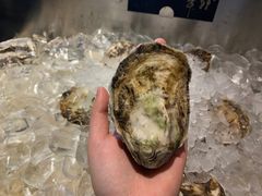 -Oyster Talks 四度蚝法餐厅