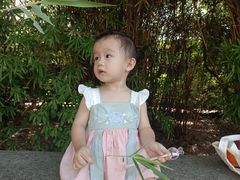 -白沙古井