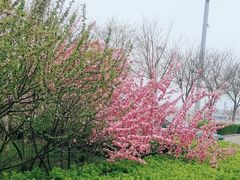 -东疆建设开发纪念公园