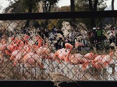 -武汉动物园