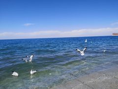 -青海湖二郎剑景区