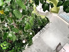 -大树餐厅(红旗街万达店)