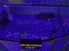 -老太太海鲜城(森林公园任家台店)