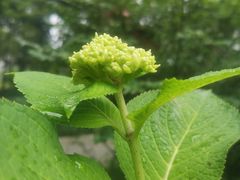 -成都市活水公园