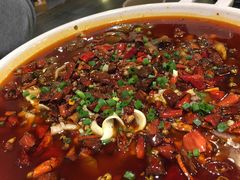 -庆合府重庆大排档(紫都城店)