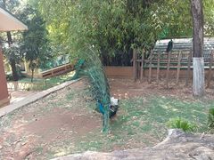 -昆明动物园