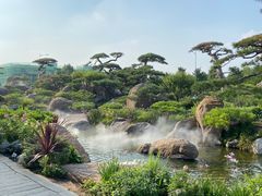 -罗红摄影艺术馆