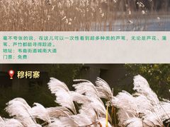 -西安浐灞国家湿地公园