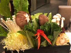 -四季火锅酒家(新濠影汇店)
