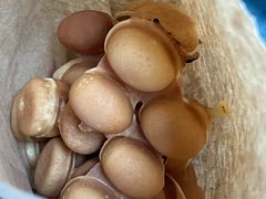 -飞记(晓港西马路商业街店)