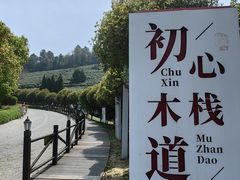 -树山生态村