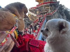 -老君山风景名胜区