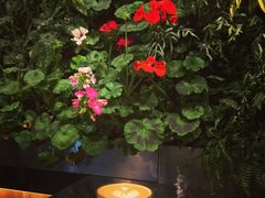 景观位-Seesaw Coffee(环贸iapm店)