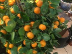 -85度C(青岛燕儿岛店)