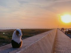 -南汇嘴观海公园