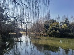-上海滨江森林公园