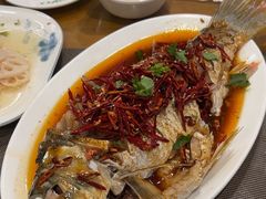 香辣鲤鱼-微山岛春天里酒家