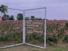 -径山花海
