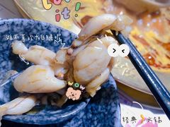 -哥老官重庆美蛙鱼头(松江地中海十八哥店)