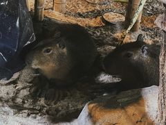 -海合安武汉极地海洋公园
