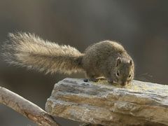 -北京清河镇农副产品交易市场中心