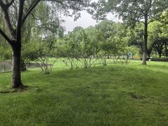 -中央公园(苏州工业园区)