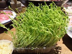 -白乐天毛肚火锅馆(解放碑店)