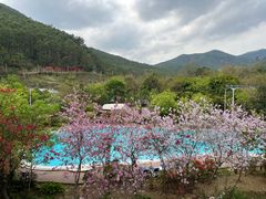 -十万大山布透温泉
