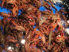 -宴立方海鲜自助(义乌万达广场店)