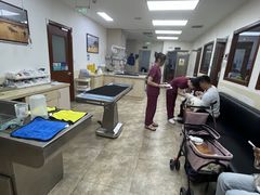 -美联众合动物医院·24h转诊中心