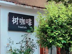 -树咖啡tree coffee