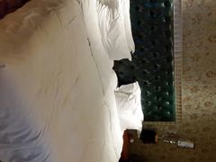 android_upload_pic-圣雷克大酒店