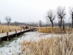 -马家湾湿地公园