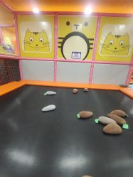 -宝贝渡口儿童游乐园(华南安盛店)