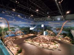 -自贡恐龙博物馆