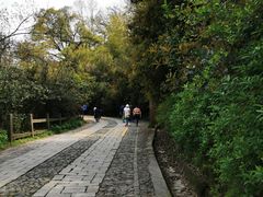-紫金山山顶公园