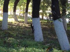 -辽东学院(南校区)