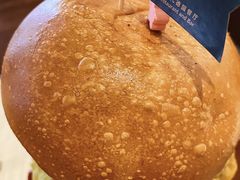 -haxnbauer海森堡德国餐厅(深圳coco店)