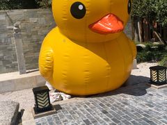 -思念果岭悦温泉