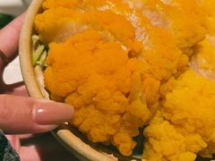-汤城·料青山