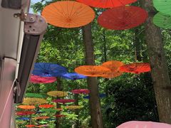 -崇明东平国家森林公园烧烤房车露营地