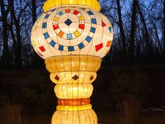 -南宫五洲植物乐园