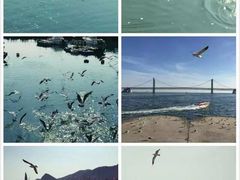 -星海广场